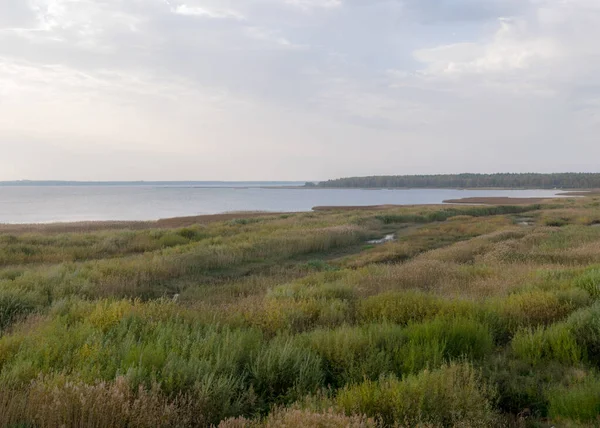 Осінній Вид Озера Передній План Лука Озера Озеро Буртнікі Латвія — стокове фото