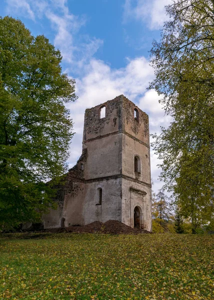 Landschaft Mit Alten Kirchenruinen Mit Büschen Und Gras Bewachsenen Ruinen — Stockfoto