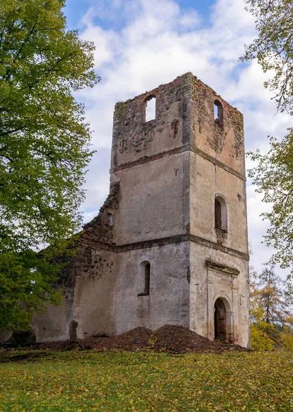 Paisagem Com Ruínas Antigas Igreja Ruínas Cobertas Arbustos Grama Tempo — Fotografia de Stock