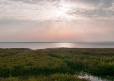 Gün batımından önce göl manzarası, bulutların arasından güneş ışınları, sakin su yüzeyi, göl çayırı önü, Burtnieki Gölü, Letonya