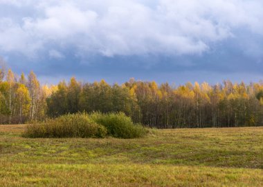 Arka planda renkli sarı ağaçların olduğu sonbahar manzarası ön planda, altın sonbahar, anlamlı gökyüzü, sonbahar zamanı, Letonya