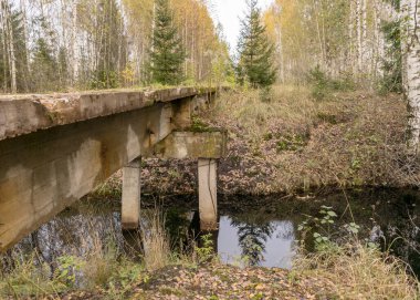 Demiryolu olmayan eski demiryolu, bataklık hendeği üzerindeki güçlendirilmiş beton köprü, turba gelişimleri, sonbahar renkleri.
