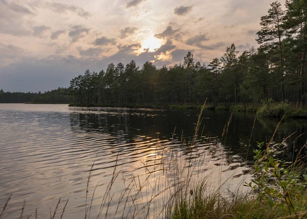 Herfstlandschap Met Moerasmeer Boomreflecties Het Meerwater Herfsttijd Letland — Stockfoto