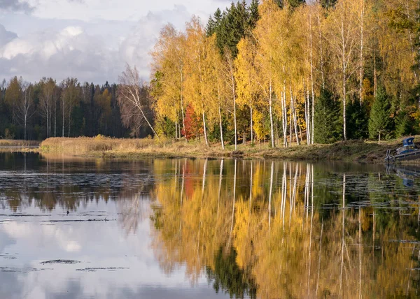 Panoramas Coloridos Outono Com Árvores Amarelas Junto Lago Reflexões Bonitas — Fotografia de Stock