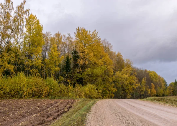 Arka planda renkli sarı ağaçların olduğu sonbahar manzarası, ön planda toprak yol, altın sonbahar, anlamlı gökyüzü, sonbahar zamanı, Letonya