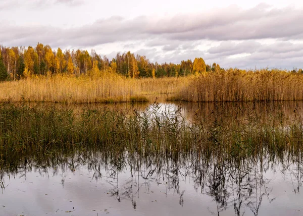 Höst Landskap Med Vacker Sjö Färgglada Träd Stranden Sjön Höstfärger — Stockfoto