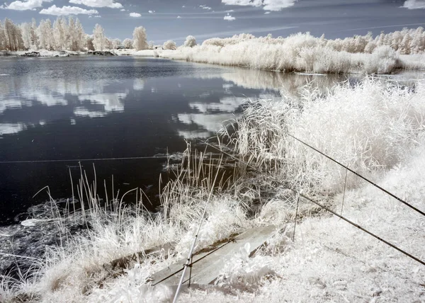 sunny summer landscape, infrared photo snowy tree amazing nature lake reflection, unusual surreal view, infrared photography