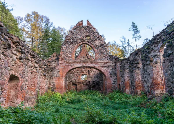 Paisaje Con Ruinas Iglesia Antigua Ruinas Cubiertas Arbustos Hierba Otoño —  Fotos de Stock