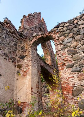 Eski kilise kalıntıları, çalılar ve çimlerle kaplanmış harabeler, sonbahar zamanı Ergeme Evanjelik Luteryan Kilisesi Letonya, Letonya 'daki en güzel kiliselerden biriydi.