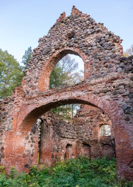 Eski kilise kalıntıları, çalılar ve çimlerle kaplanmış harabeler, sonbahar zamanı Ergeme Evanjelik Luteryan Kilisesi Letonya, Letonya 'daki en güzel kiliselerden biriydi.