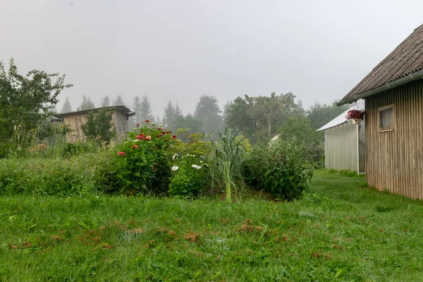 Mgła Krajobraz Prosty Drewniany Dom Ogrodowy Piękny Kwitnący Ogród Jesienią — Zdjęcie stockowe