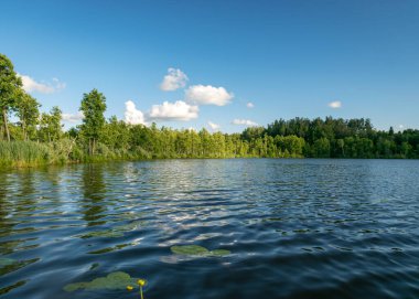 Güneşli bir yaz gününde gölün yeşil kıyı manzarası sakin göl suyunda yansıyor.