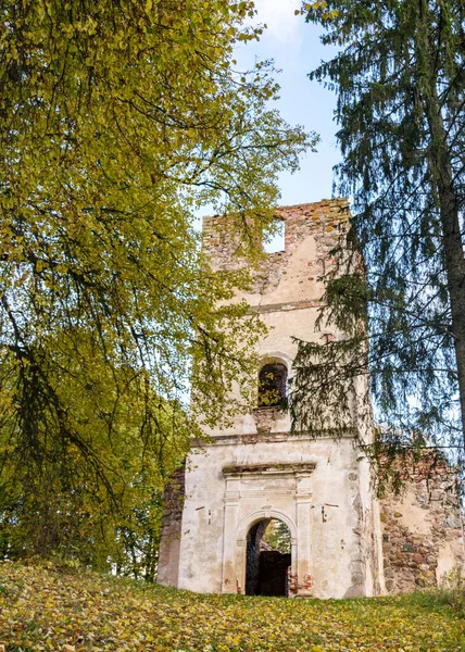 Landschaft Mit Alten Kirchenruinen Mit Büschen Und Gras Bewachsenen Ruinen — Stockfoto