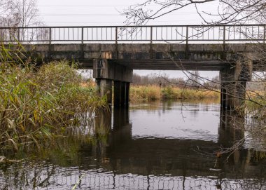 Gri ve bulutlu bir gün, nehir üzerindeki beton köprü silueti, çıplak ağaçlar ve çalılarla dolu nehir kıyısı, nehir suyundaki kıyı yansıması, sonbahar.