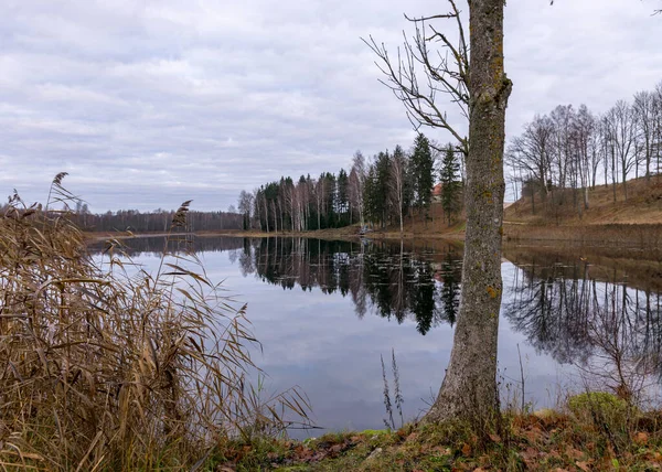 Rive Opposée Lac Automne Ciel Nuageux Fin Automne Silhouettes Arbres — Photo