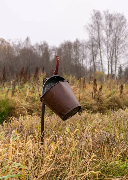 Traditionell Flodbanksvegetation Hösten Olika Vass Och Gräs Älvstranden Kala Träd — Stockfoto