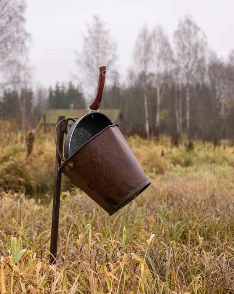 Traditionell Flodbanksvegetation Hösten Olika Vass Och Gräs Älvstranden Kala Träd — Stockfoto