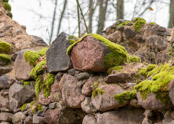 Старые Камни Заросшие Мхом Лишайниками Каменная Стена Руин Старого Замка — стоковое фото