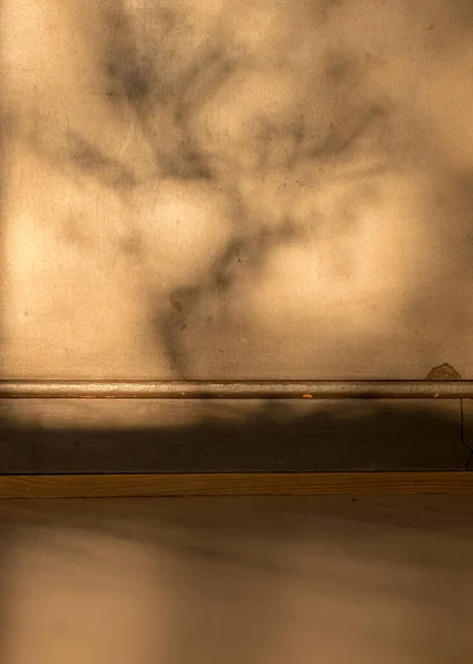 Foto Abstrata Com Uma Sombra Turva Parede Adequado Para Fundo — Fotografia de Stock
