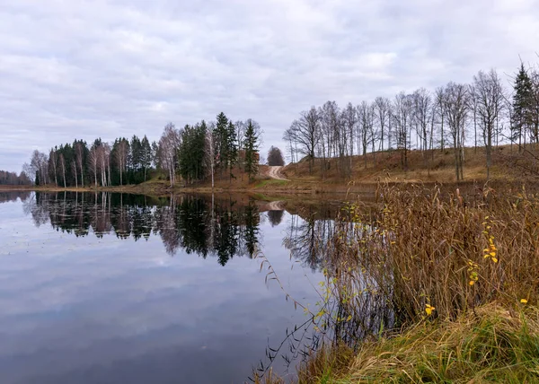湖岸对面的秋天 多云的天空 光秃秃的树型轮廓和水面上的倒影 拉脱维亚秋天的风景 — 图库照片