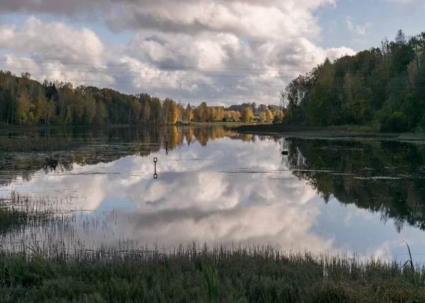Färgglada Höstpanoraman Med Gula Träd Vid Sjön Vackra Och Färgglada — Stockfoto