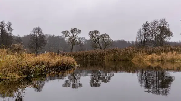 Herfst Landschap Grijs Bewolkt Dag Rivieroever Met Kale Bomen Struiken — Stockfoto