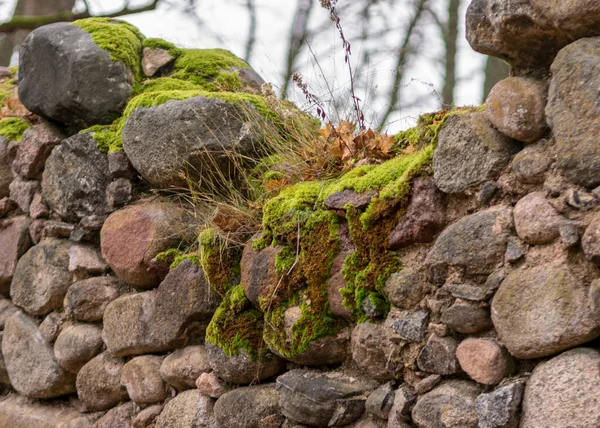 Alte Mit Moos Und Flechten Bewachsene Steine Steinmauer Aus Alten — Stockfoto