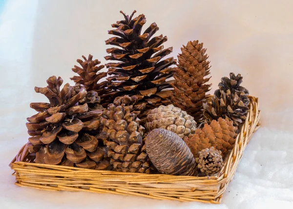 Different Shapes Types Cones Wicker Basket Preparing Christmas Waiting Christmas — Stock Photo, Image