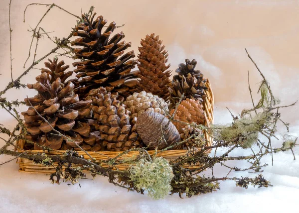 Hasır Sepetteki Farklı Şekiller Tiplerdeki Koniler Noel Için Hazırlanıyor Noel — Stok fotoğraf