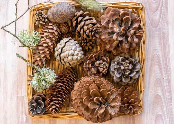 Different Shapes Types Cones Wicker Basket Preparing Christmas Waiting Christmas — Stock Photo, Image