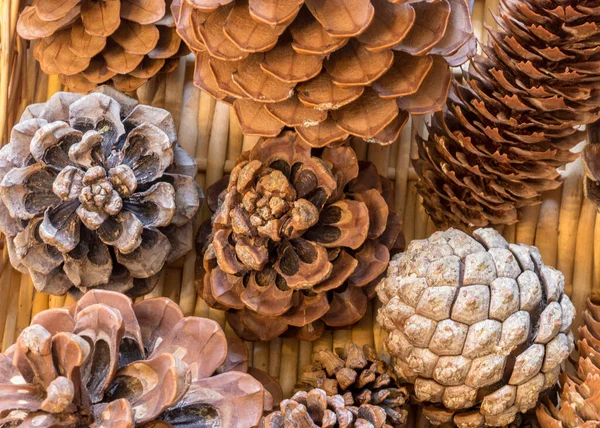 Diferentes Formas Tipos Cones Uma Cesta Vime Preparando Para Natal — Fotografia de Stock