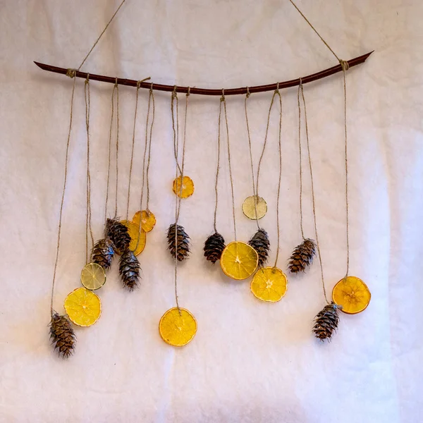 Duvarda hazır Noel dekoru, kurutulmuş narenciye ve konilerden el yapımı, Noel için bekleme zamanı.,