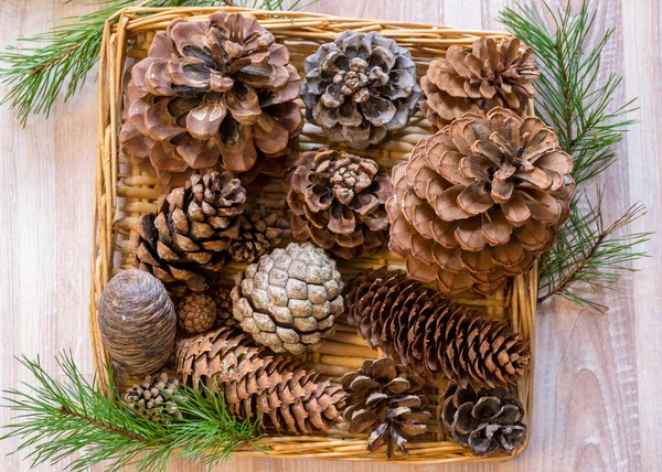 Diferentes Formas Tipos Conos Una Canasta Mimbre Preparándose Para Navidad —  Fotos de Stock