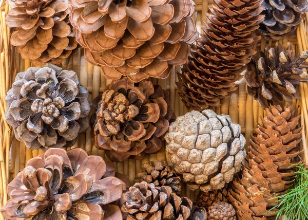 Diferentes Formas Tipos Conos Una Canasta Mimbre Preparándose Para Navidad — Foto de Stock