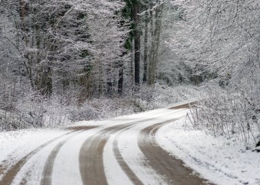 Kış manzarası karlı bir kır yolu ve yol kenarında karla kaplı ağaçlarla, kış günü