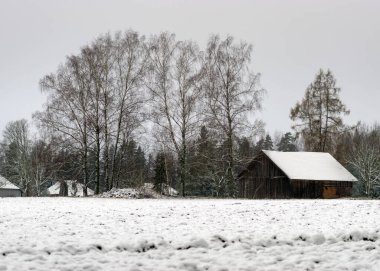 Önünde karlı topraklar, karla kaplı ağaçlar ve tarlalar, kış günü