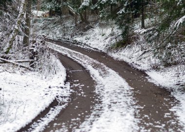 Kış manzarası karlı yol, karla kaplı ağaçlar ve yol kenarındaki çalılar, kış günü