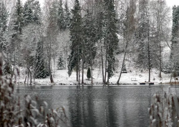 木の幹や枝を通って湖の冬の景色冬の日 — ストック写真
