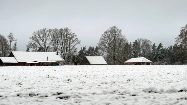 Krajobraz Zimowy Śnieżną Ziemią Pierwszym Planie Drzewa Pola Pokryte Śniegiem — Zdjęcie stockowe