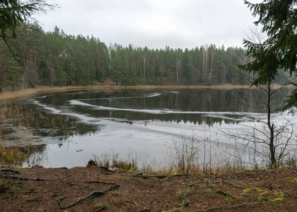 Paisaje Monótono Lago Día Gris Nublado Invierno Sin Nieve —  Fotos de Stock