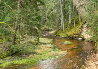 Kum taşı duvarı küçük bir nehrin kıyısında yer alır, Strikupe, Priedaine mağarası, Cesu bölgesi, Letonya