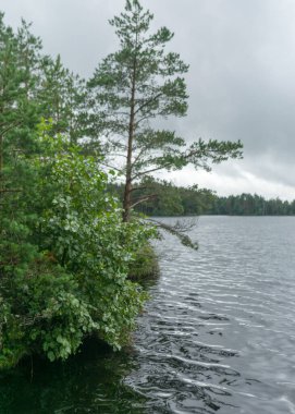 Göl kıyısı ve su manzarası, bulutlu gökyüzü, sisli ve yağmurlu hava, sonbahar doğası