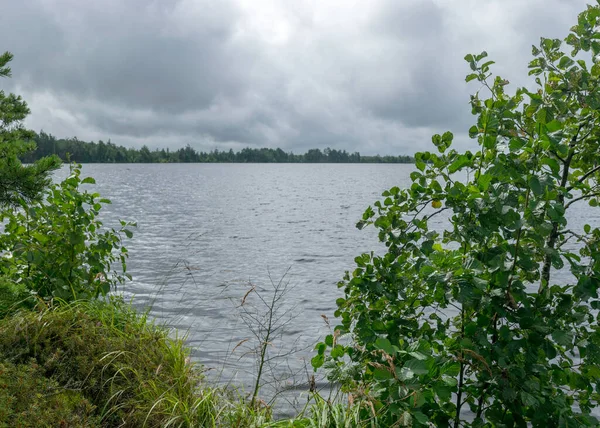 Jour Pluie Fond Pluvieux Paysage Traditionnel Tourbière Lac Tourbière Sous — Photo