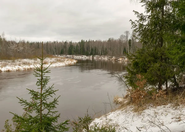 Gaujas Nationalpark Utsikt Över Floden Gauja December Med Lätt Snö — Stockfoto