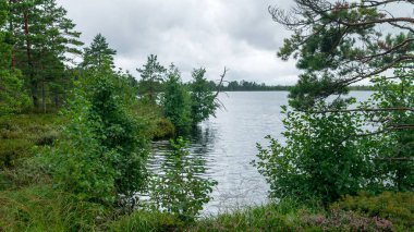 Göl kıyısı ve su manzarası, bulutlu gökyüzü, sisli ve yağmurlu hava, sonbahar doğası