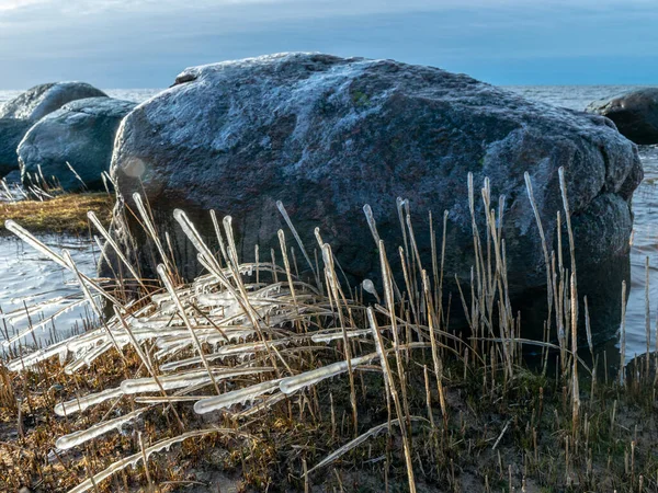 Mer Vent Ont Fait Des Formations Abstraites Roseaux Secs Gelés — Photo