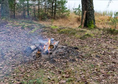 Göl kıyısında yanan bir kamp ateşiyle parlayan ahşap odunlar ve kırmızı alevler, göl kıyısında