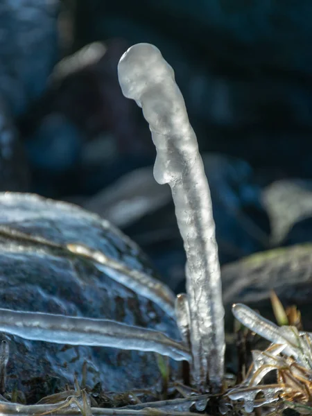 Sea Wind Have Formed Abstract Formations Frozen Dry Reed Icicles — Stock Photo, Image