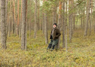 Ormandaki insan silueti, bataklık ormanı arka planı, bataklığın karakteristik bitkileriyle kaplı, karsız kış günü.