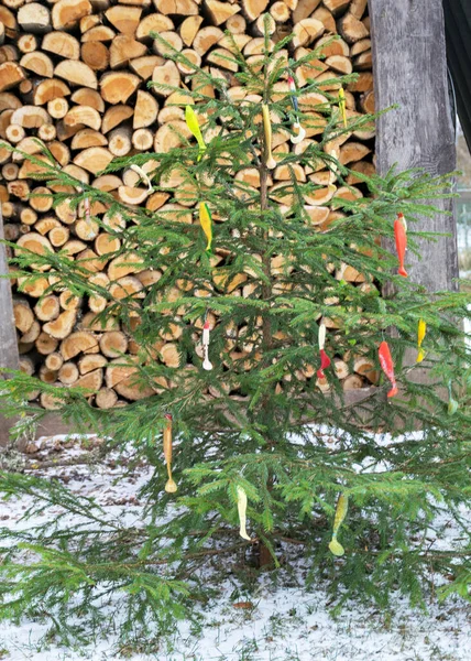 Kauçuk Balıklarla Süslenmiş Noel Ağacı Balıkçıların Noel Kış — Stok fotoğraf